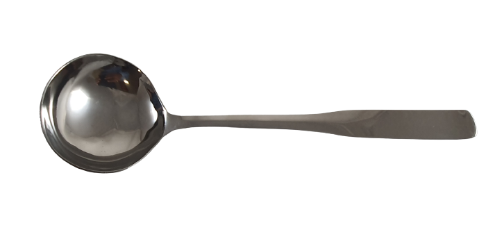 Solid Ladle 10inch
